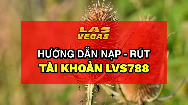 nạp rút tiền lvs788